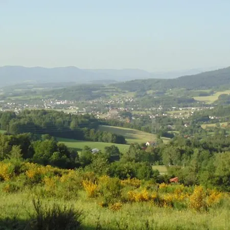 펜션 Pavillon Au Calme Avec Cheminee Pres De Gerardmer, Wi-fi, Terrasses Et Garage - Fr-1-589-75