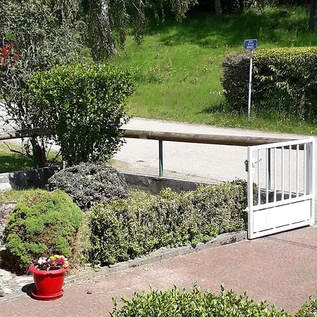Vakantiehuis Pavillon Au Calme Avec Cheminee Pres De Gerardmer, Wi-fi, Terrasses Et Garage - Fr-1-589-75 Anould