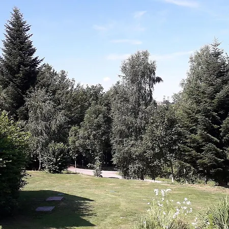 Pavillon Au Calme Avec Cheminee Pres De Gerardmer, Wi-fi, Terrasses Et Garage - Fr-1-589-75 *