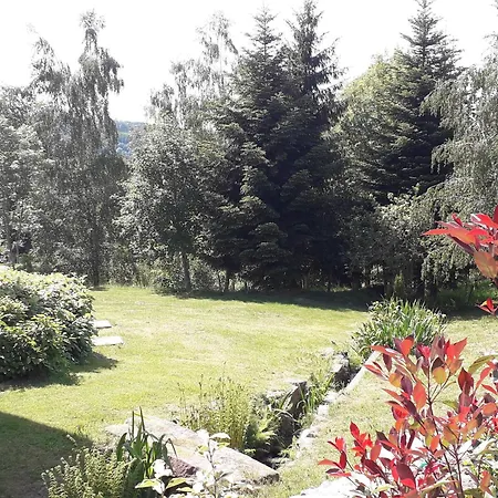 Pavillon Au Calme Avec Cheminee Pres De Gerardmer, Wi-fi, Terrasses Et Garage - Fr-1-589-75 Anould