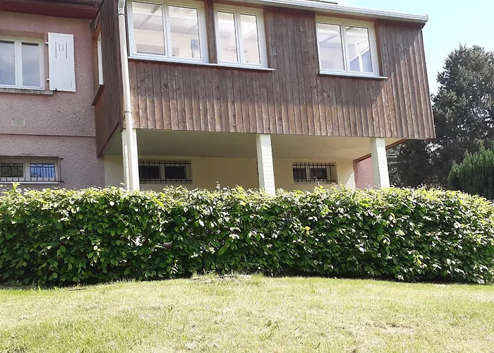 Pavillon Au Calme Avec Cheminee Pres De Gerardmer, Wi-fi, Terrasses Et Garage - Fr-1-589-75