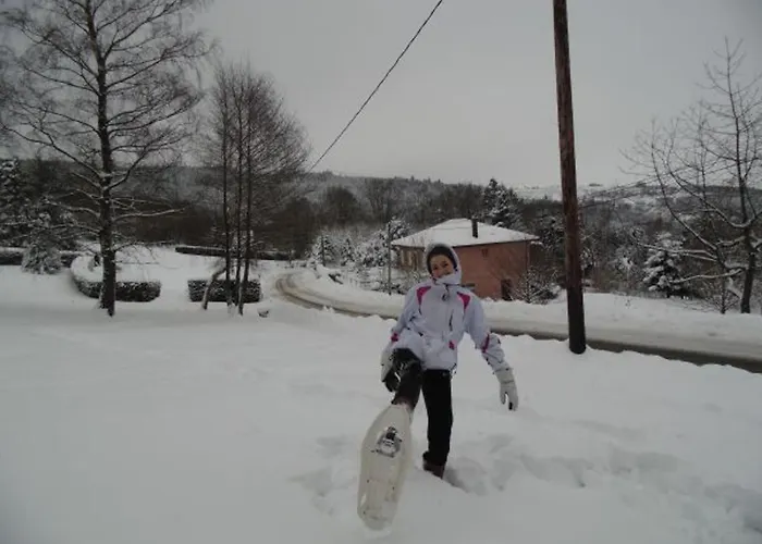 Prázdninový dům Pavillon Au Calme Avec Cheminee Pres De Gerardmer, Wi-fi, Terrasses Et Garage - Fr-1-589-75
