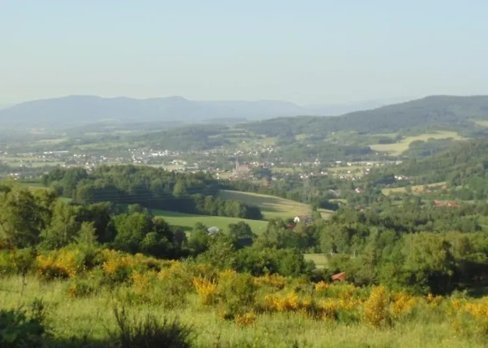 Prázdninový dům Pavillon Au Calme Avec Cheminee Pres De Gerardmer, Wi-fi, Terrasses Et Garage - Fr-1-589-75