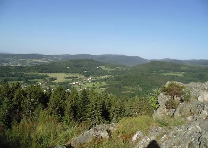 Pavillon Au Calme Avec Cheminee Pres De Gerardmer, Wi-fi, Terrasses Et Garage - Fr-1-589-75