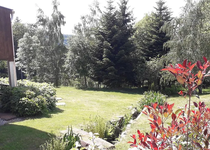 Pavillon Au Calme Avec Cheminee Pres De Gerardmer, Wi-fi, Terrasses Et Garage - Fr-1-589-75 * Anould