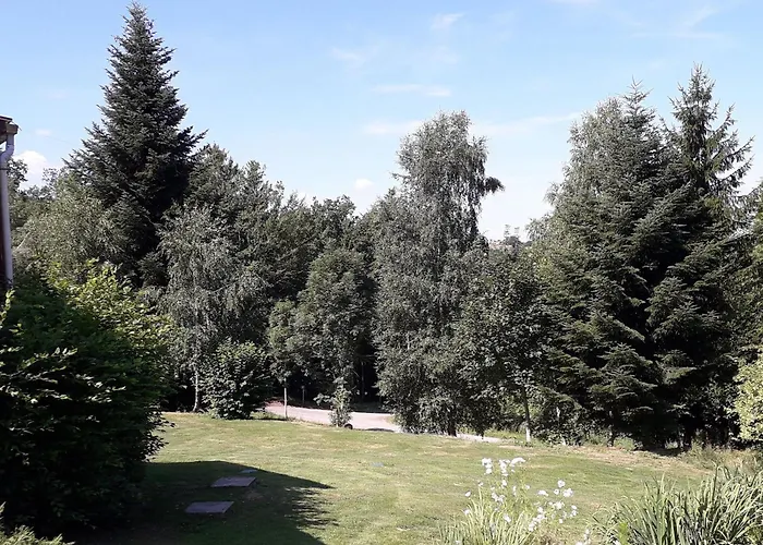 Pavillon Au Calme Avec Cheminee Pres De Gerardmer, Wi-fi, Terrasses Et Garage - Fr-1-589-75 Prázdninový dům Anould