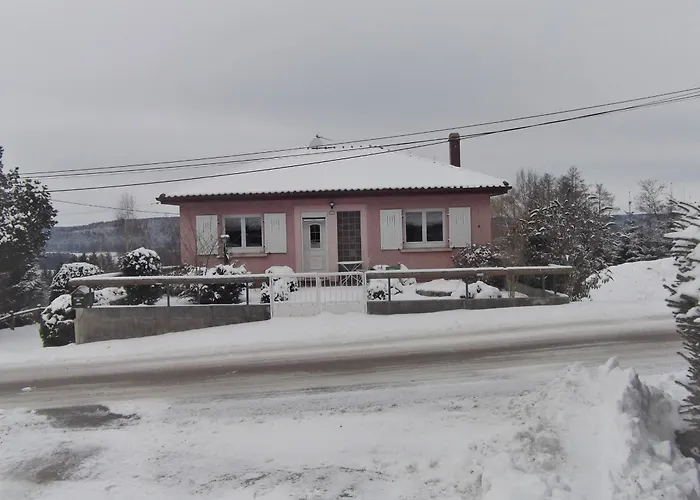 Pavillon Au Calme Avec Cheminee Pres De Gerardmer, Wi-fi, Terrasses Et Garage - Fr-1-589-75